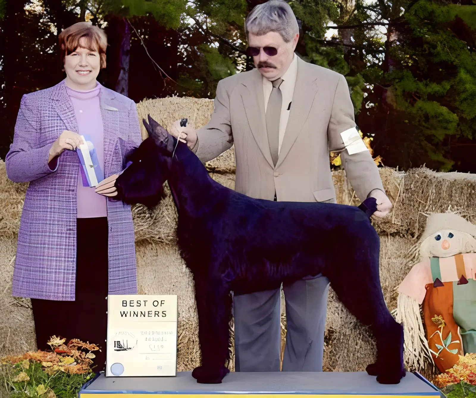 Giant Schnauzer wins best in show