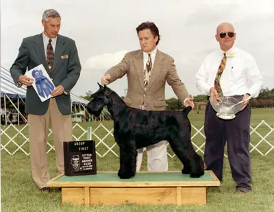 Dog show winner with handlers and trophy