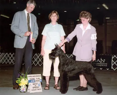 Celebrating Best Breed win with Giant Schnauzer
