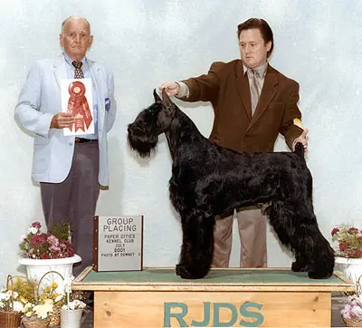 Award-winning dog at kennel club event