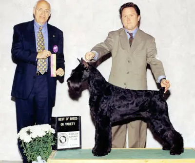 Prize-winning dog at a competition