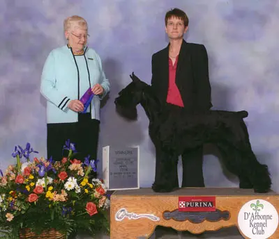 Award-winning dog with floral display