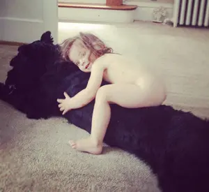 Toddler hugging large fluffy dog