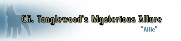 Text with silhouette of a dog