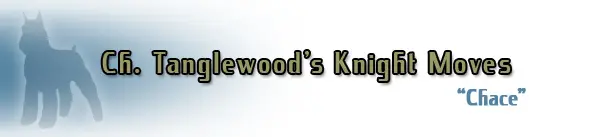 Blue silhouette with name and title