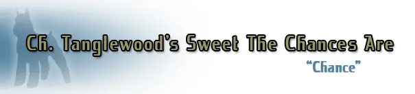 Tanglewood's Sweet The Chances Are" banner