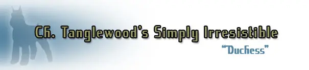 Cat silhouette with text "Ch. Tanglewood's Simply Irresistible