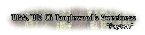 Text overlay on forest background