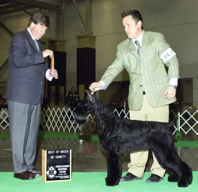 Best of breed winner displayed proudly