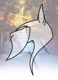 Artistic animal sketch with woodland backdrop