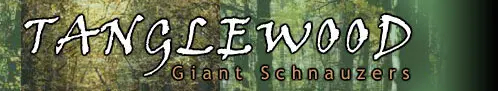 Tanglewood Giant Schnauzers