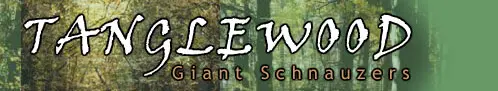 Tanglewood Giant Schnauzers