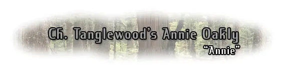 Ch. Tanglewood's Annie Oakly title image