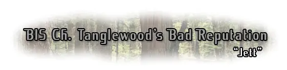 Tanglewood's Bad Reputation title graphic