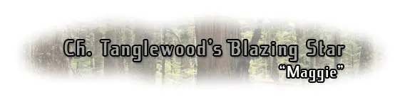 Maggie's name in stylized font