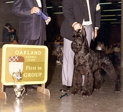 Dog show winner with trophy