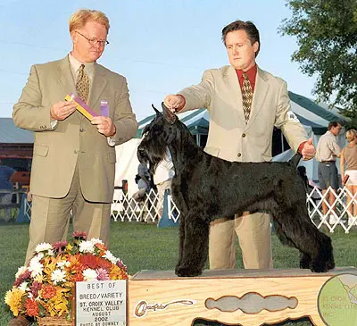 Award ceremony for best-in-show dog