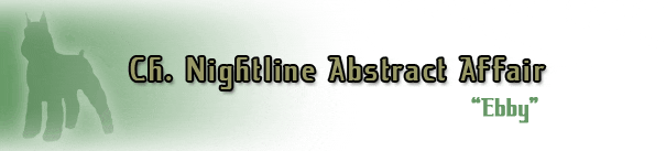 Green silhouette and text design