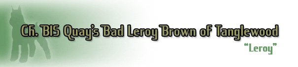Leroy Brown cat title banner