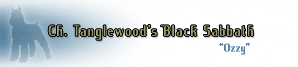 Ch. Tanglewood's Black Sabbath" logo