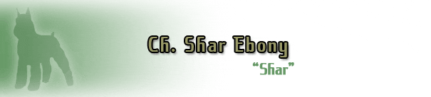 Dog silhouette with "Ch. Shar Ebony" text