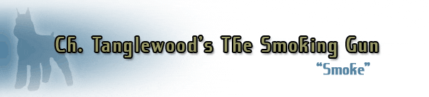 Title "Smoke" with dog silhouette